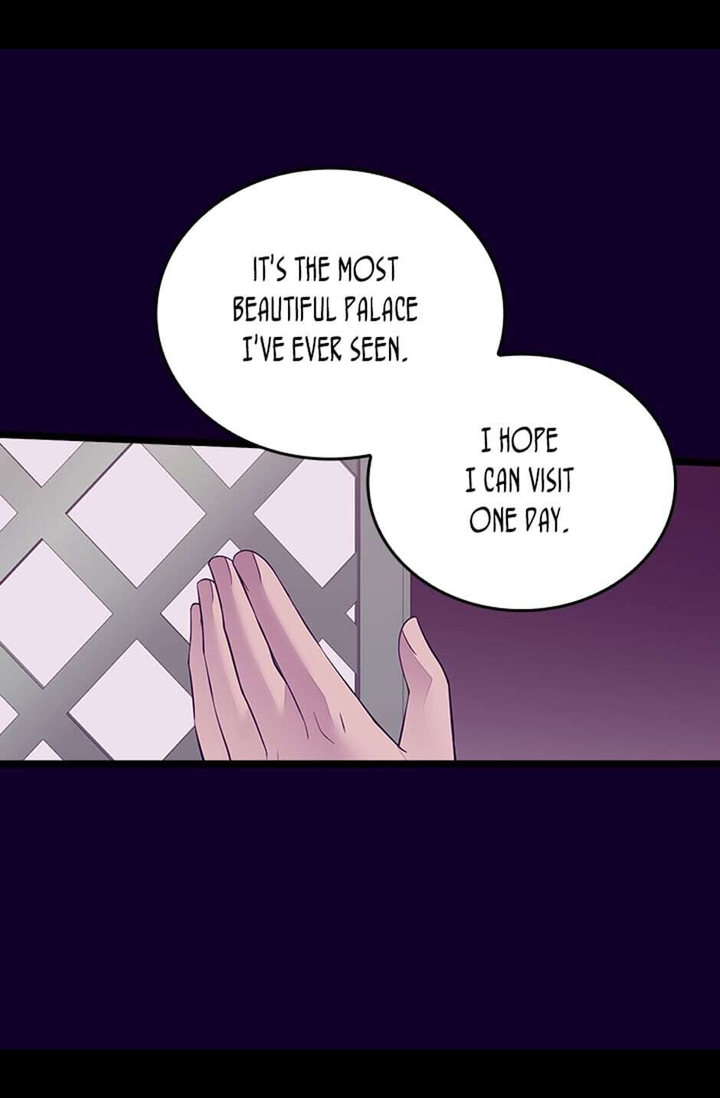 They Say I Was Born A King’s Daughter - Chapter 251 Page 45