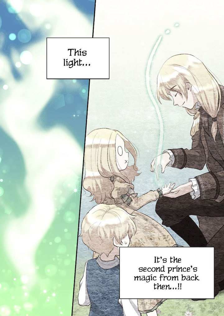 The Twin Siblings’ New Life - Chapter 25 Page 13