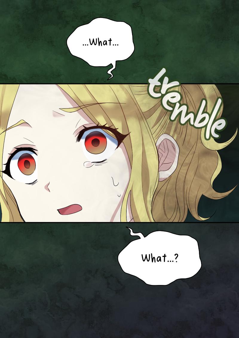 The Twin Siblings’ New Life - Chapter 47 Page 13