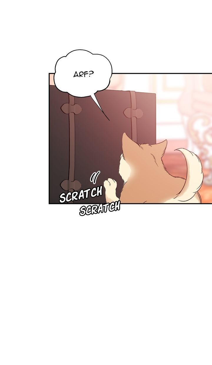 Doctor Elise – The Royal Lady with the Lamp - Chapter 131 Page 8