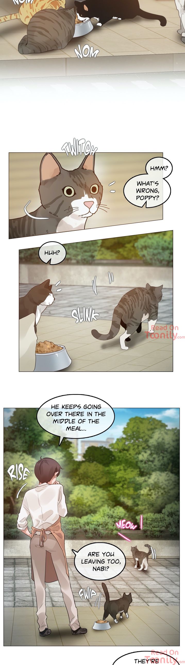 A Pervert’s Daily life - Chapter 72 Page 2